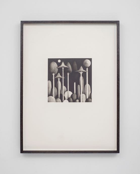 Landscape by Nicolas Party contemporary artwork Works on Paper