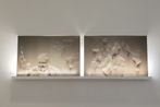 Elicitation 1 Terranum Nuncius by Jitish Kallat contemporary artwork Sculpture