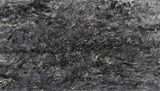 Determination. Freedom - Searching No.1 by Ren Sihong contemporary artwork painting