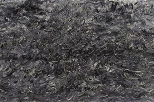 Ren Sihong