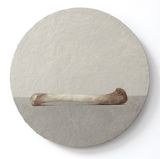 Chicken Wng Bone by Fan Shao contemporary artwork painting