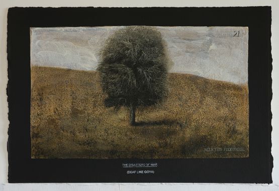Melicytus flexuosus by Michael Shepherd contemporary artwork Works on Paper