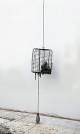Fretful thing by Julia Morison contemporary artwork sculpture