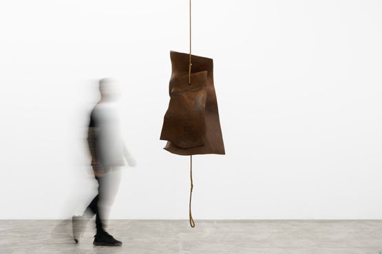 Dupla by Marcelo Silveira contemporary artwork Sculpture
