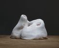 Petriceps - Oudemansiella raphanipes by Michelle Wang Yiyi contemporary artwork Sculpture