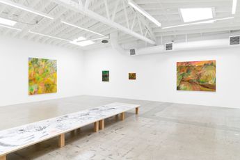 Contemporary art exhibition Soumya Netrabile Between past and present Between appearance and memory at Anat Ebgi Mid Wilshire United States