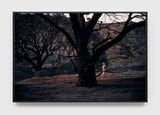 Lacy by Philip-Lorca Dicorcia contemporary artwork photography
