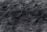 Grass-Tainan Qigu 14 by Quo Ying-Sheng contemporary artwork photography