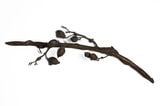 Untitled Seed Pod Branch by Fay Ming contemporary artwork sculpture