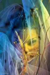Safety Net by Eva Szombat contemporary artwork photography print
