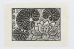 Fuki flower Finding My Way in Aomori by Robin White contemporary artwork Works on Paper