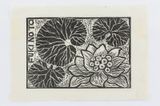 Fuki flower Finding My Way in Aomori by Robin White contemporary artwork print works on paper