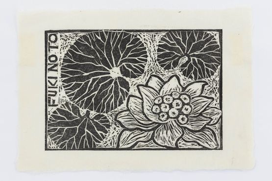 Fuki flower Finding My Way in Aomori by Robin White contemporary artwork Works on Paper