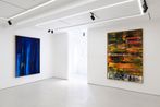 Sassan Behnam-Bakhtiar contemporary artist