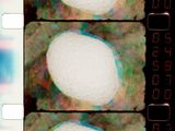 Fermented foam by Joao Maria Gusmao contemporary artwork moving image