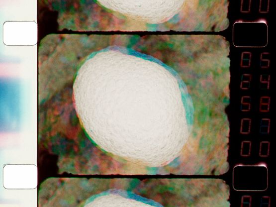 Fermented foam by Joao Maria Gusmao contemporary artwork Moving Image