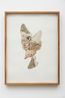 Untitled from the series Atlas by Rodolpho Parigi contemporary artwork Works on Paper