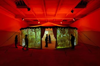 Contemporary art exhibition Diana Thater Practical Effects at David Zwirner New York 19th Street United States