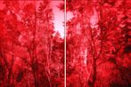 Elevation of 3650 Meters No.69 by Wang Guofeng contemporary artwork Photography