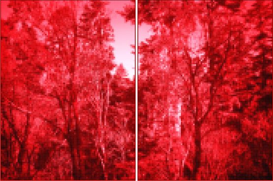 Elevation of 3650 Meters No.69 by Wang Guofeng contemporary artwork Photography
