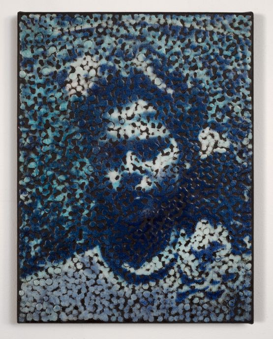 Untitled by Daniel Boyd contemporary artwork Painting