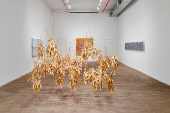 Contemporary art exhibition Sonya Kelliher-Combs Ammivik Home at Andrew Kreps Gallery 55 Walker Street United States