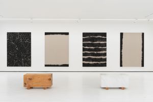 Leonardo Anker Vandal