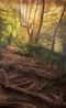 In The Evening The Sky Changed by Jake Grewal contemporary artwork Painting