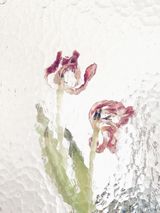 Untitled Flowers series 16 by Nonzuzo Gxekwa contemporary artwork print