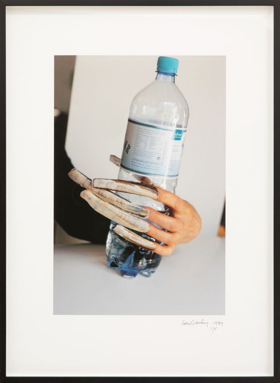 Das Meer by Lois Weinberger contemporary artwork Photography