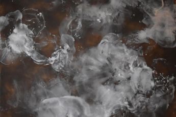 Betsy Eby contemporary artist
