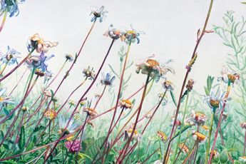 Vibeke Slyngstad contemporary artist