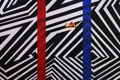 Brook Andrew Joins Ames Yavuz Gallery