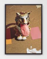 Blep by Lucas Blalock contemporary artwork photography