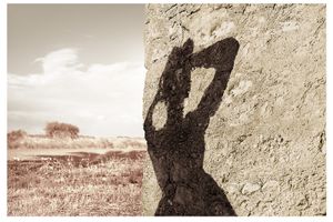 Tracey Moffatt