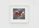 Maquette ellipses by Vivien Zhang contemporary artwork Works on Paper