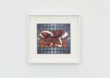 Maquette ellipses by Vivien Zhang contemporary artwork works on paper