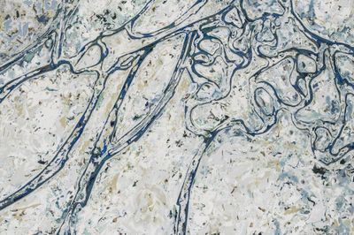 Lee Buls Organic and Inorganic Forms at Thaddaeus Ropac