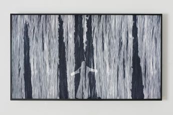 Michal Rovner contemporary artist