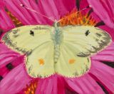 Clouded Sulphur by Claudia Keep contemporary artwork painting