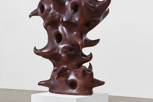 Tony Cragg