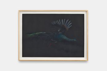 Holly Lowen contemporary artist
