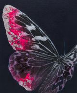 Cyborg Butterfly 4 by Yoshiaki Nakamura contemporary artwork painting