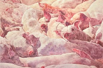 Contemporary art exhibition Group Exhibition Class of Daniel Richter A Delicate Matter at Galerie Krinzinger Seilerstatte 16 Vienna Austria