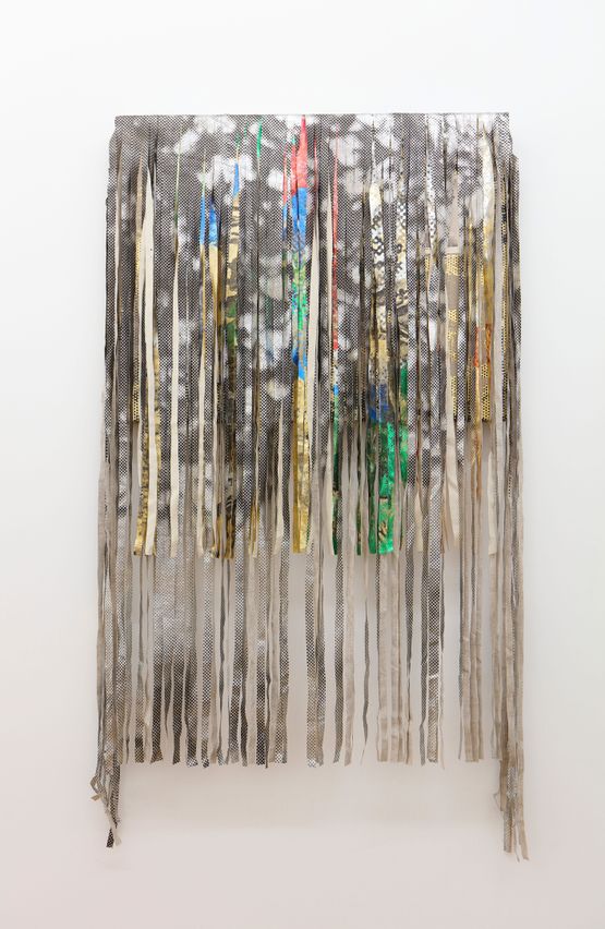 Symbolic Nature II by Brook Andrew contemporary artwork Mixed Media