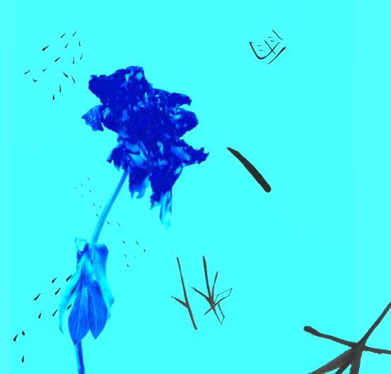 Grain Rain Series-Flower with Flying Text 12 by Hung Keung contemporary artwork Moving Image