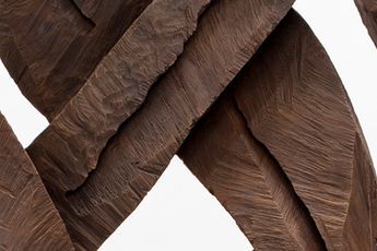 Contemporary art exhibition David Nash Catching Forms. Wood to Bronze at Galerie Lelong 13 Rue de Teheran Paris France