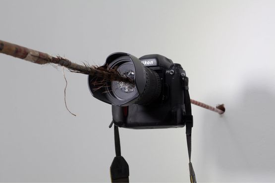 Focus by Xu Zhen contemporary artwork Installation