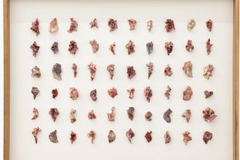 Brigida Baltar contemporary artist