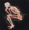 Thinker II by Xu Qu contemporary artwork Painting